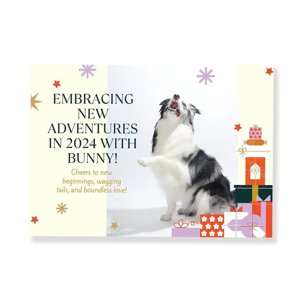 Christmas Pet Memories Video Album - Customizable 7’’ Digital Display For Photographers Pet