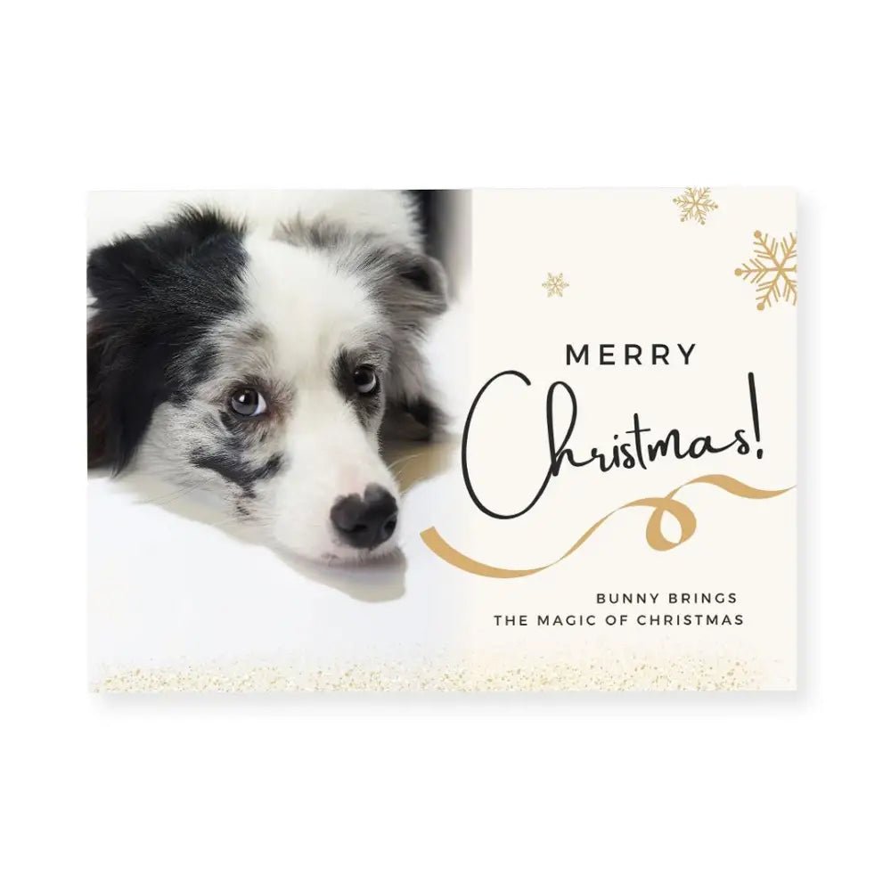 Christmas Pet Video Book With 7’’ Display | Dog Xmas & Photography Santa Pet Video Album